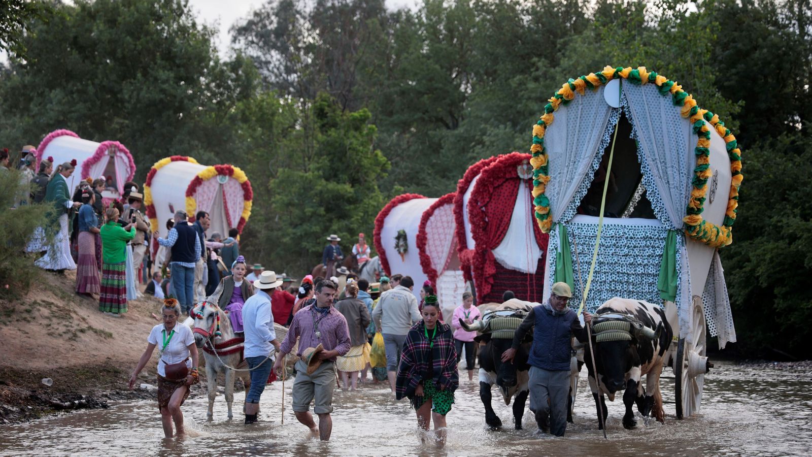 Las carretas de bueyes de Triana por el río Guadiamar.