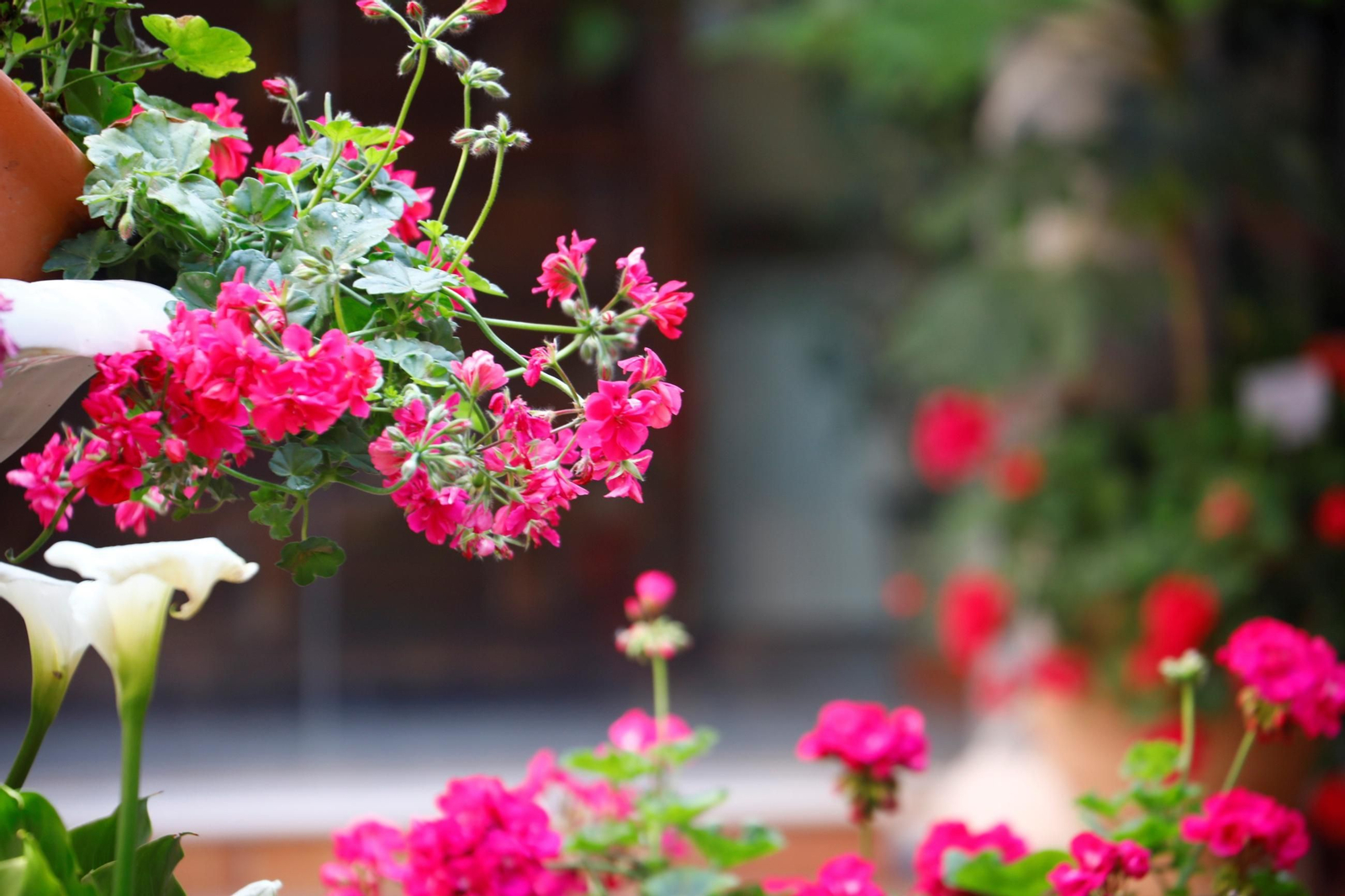 Patio del colegio Nuestra Señora de la Piedad.