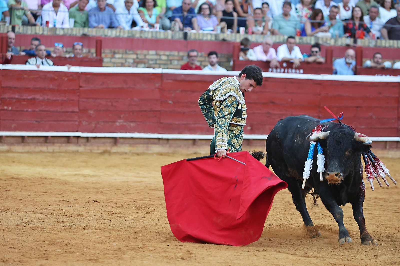 Toros La Merced 2024 Novillada con picadores(