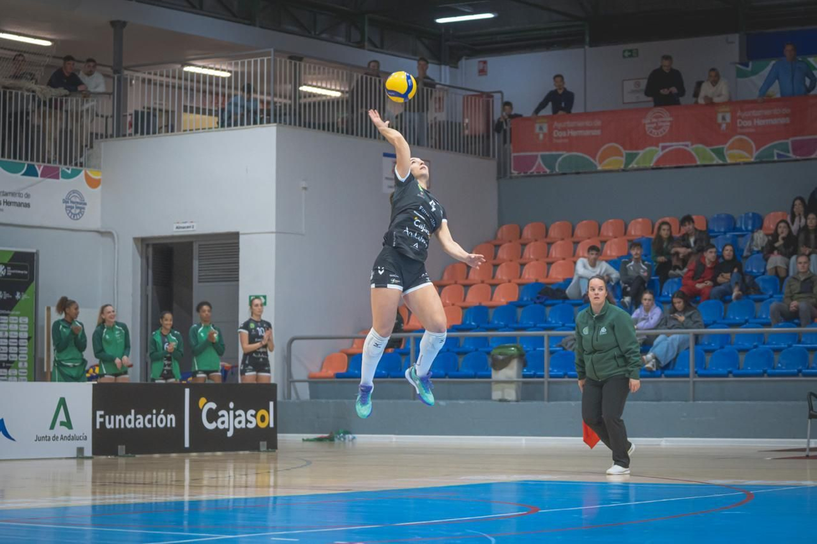 Las fotos del Fundación Cajasol Andalucía-Dynamo Apeldoorn