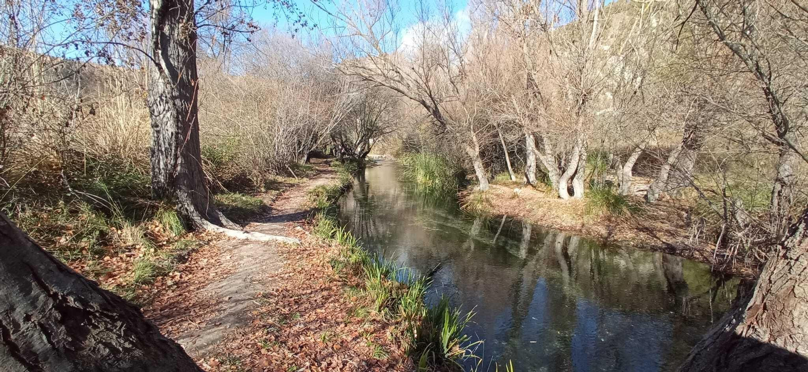 Las imágenes de la ruta del Bosque Encantado de Higueras