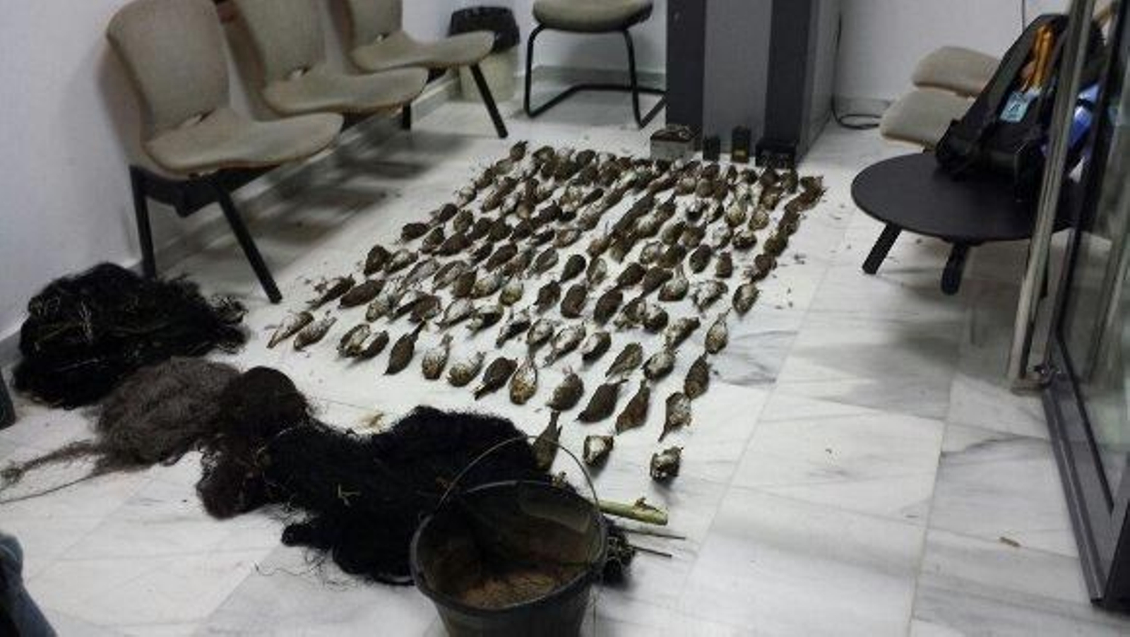 Operación de la Guardia Civil contra la captura ilegal de aves protegidas Operación de la Guardia Civil contra la captura ilegal de aves protegidas