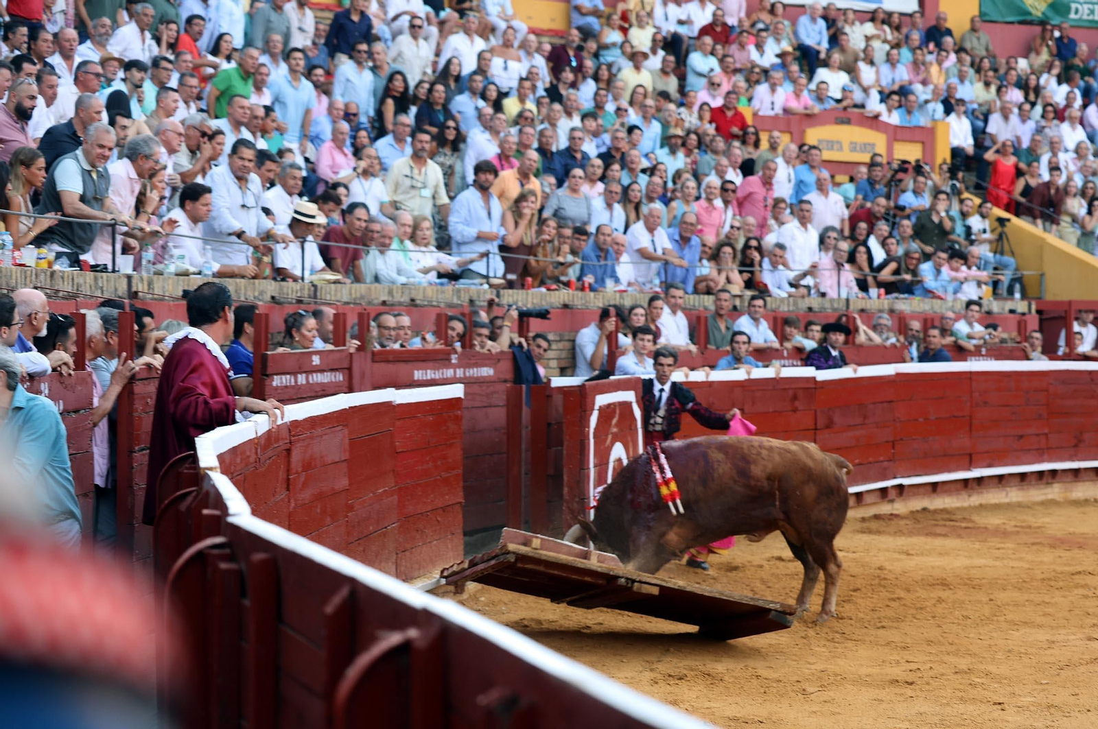 Toros La Merced 2025: Imágenes de la corrida de David de Miranda, Marco Pérez y Borja Jiménez