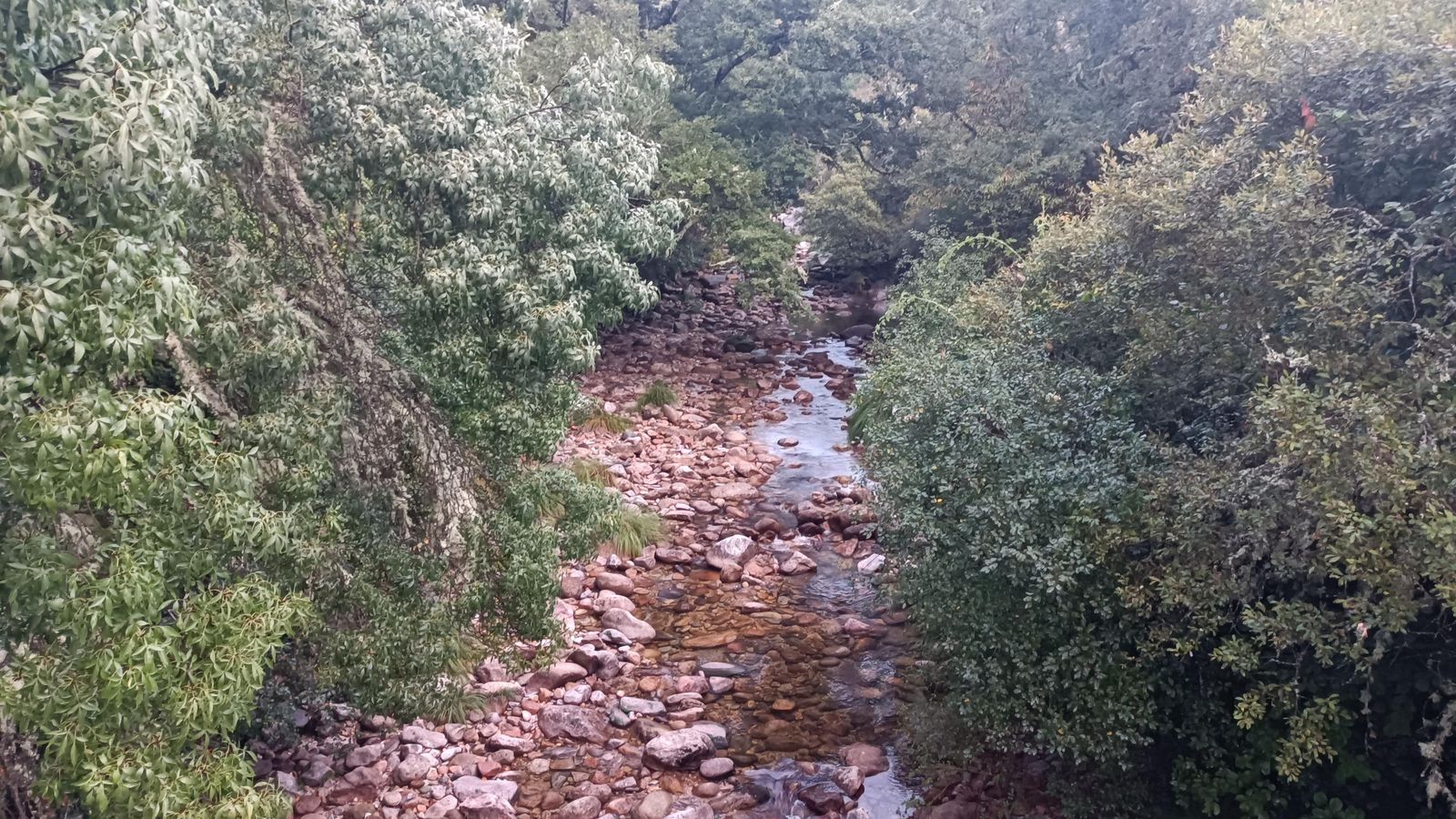 Primeros tramos de subida al salir de Lubián.