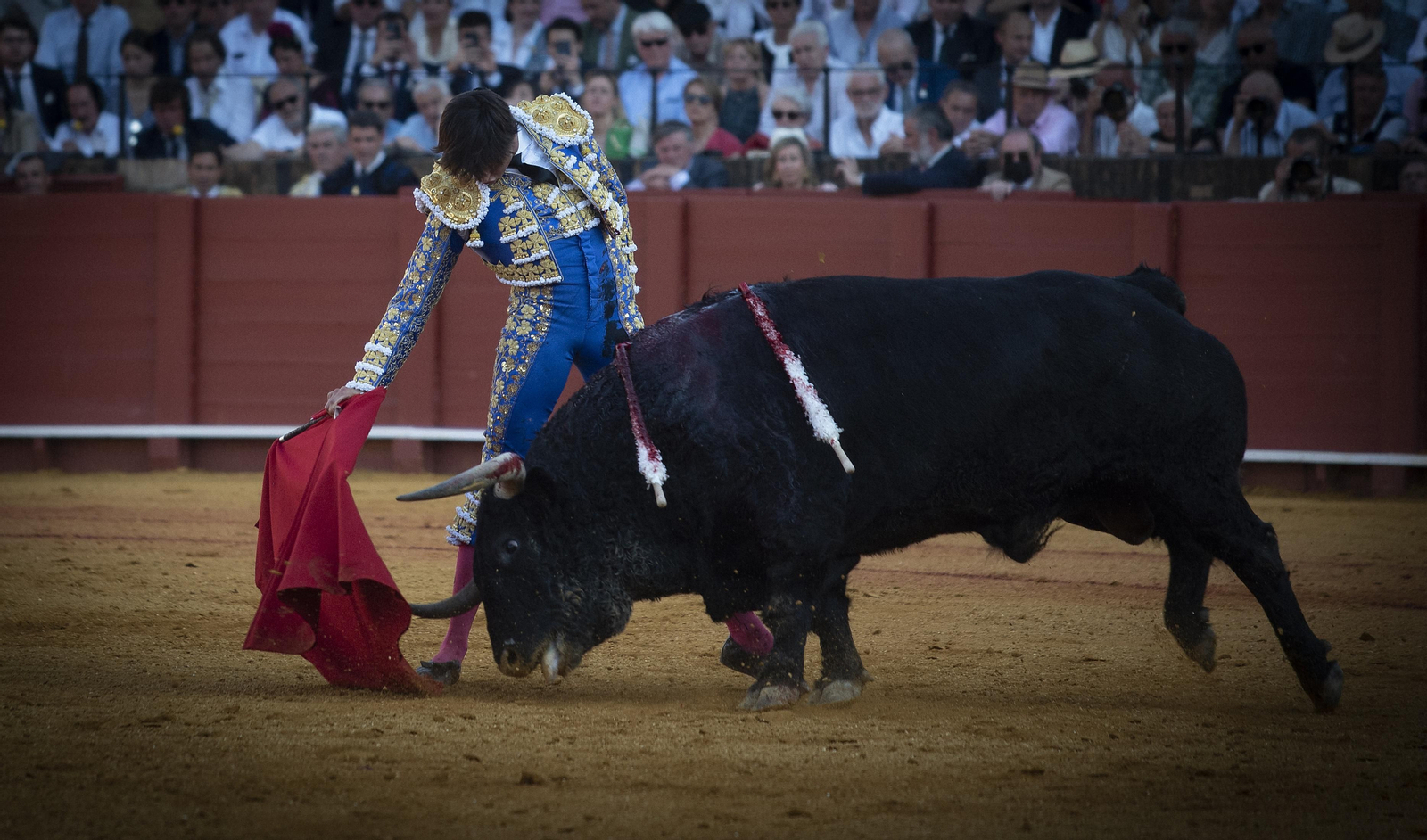 Las mejores imágenes del duodécimo festejo de toros