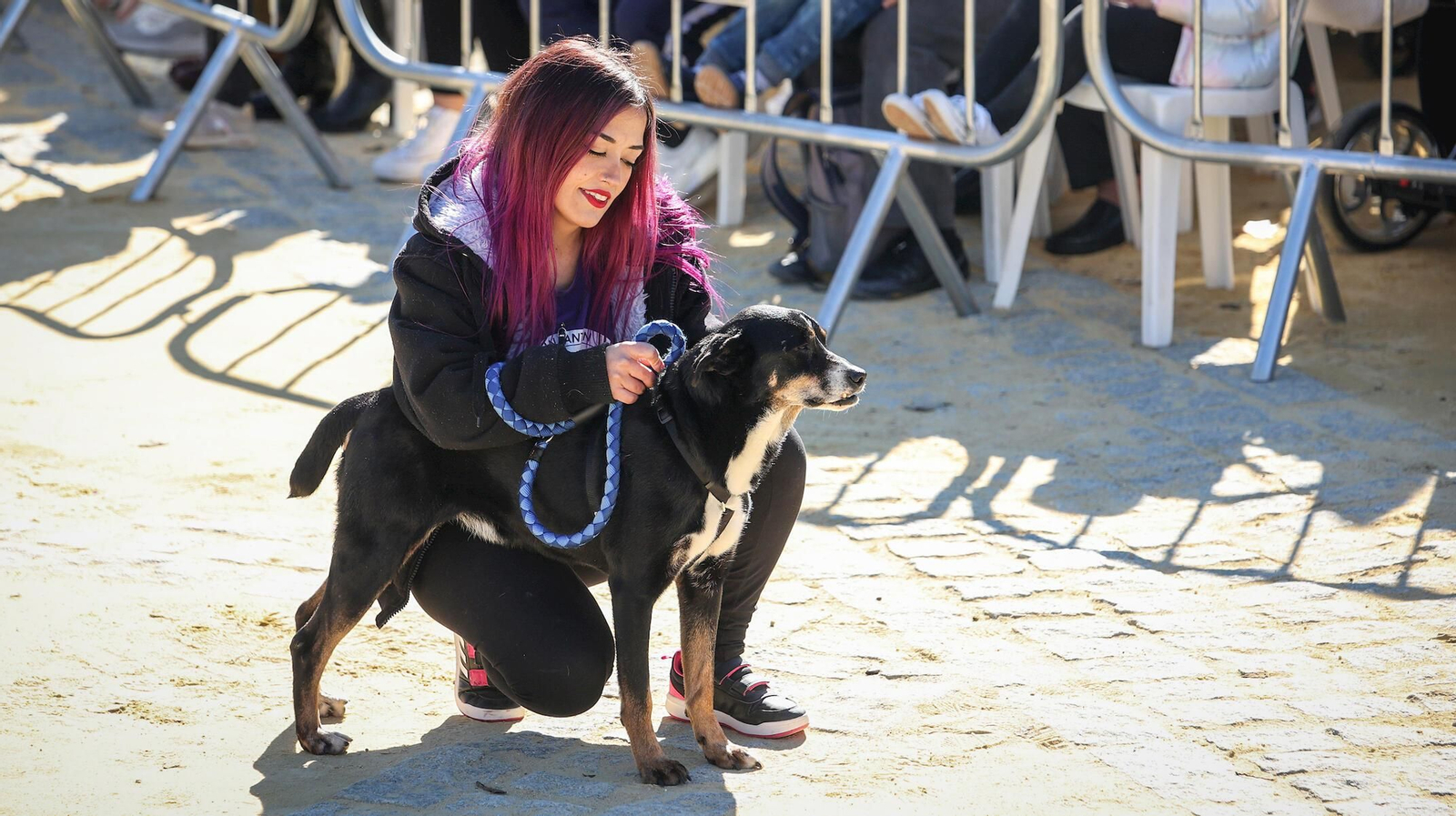 Imagen de un perro con su dueña, en la pasada edición de San Antón. Imagen de un perro con su dueña, en la pasada edición de San Antón.