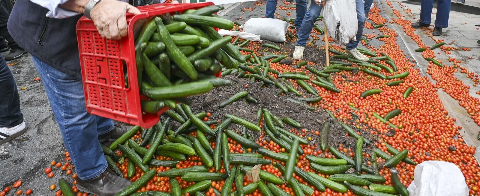 Agricultores arrojan pepinos y tomates en las últimas manifestaciones. Agricultores arrojan pepinos y tomates en las últimas manifestaciones.