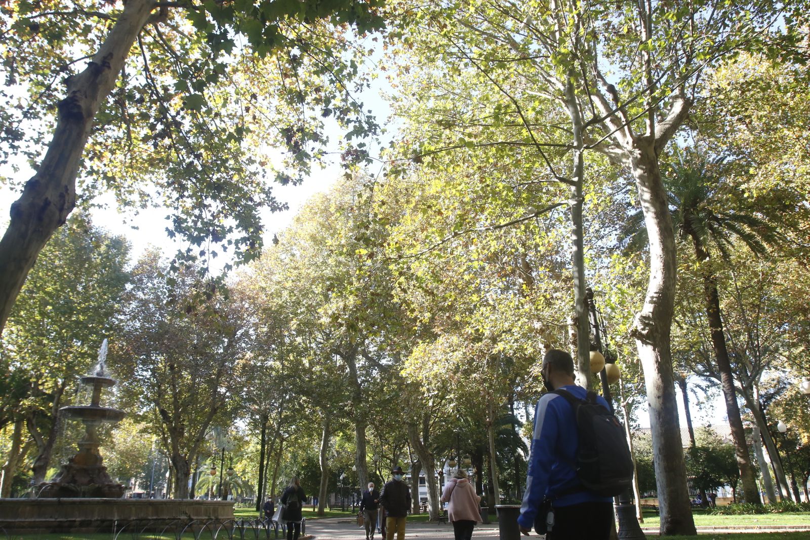 El otoño en Córdoba, en fotografías