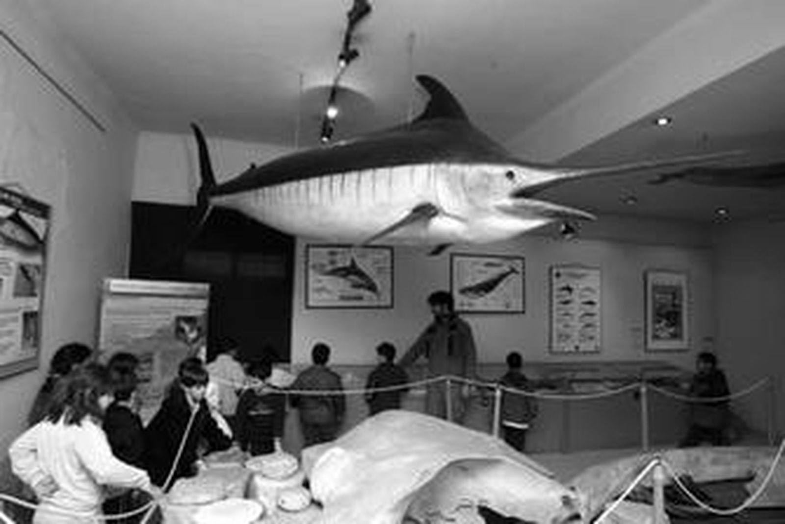 Zona museística de las actuales instalaciones del Aula del Mar en el puerto de Málaga.