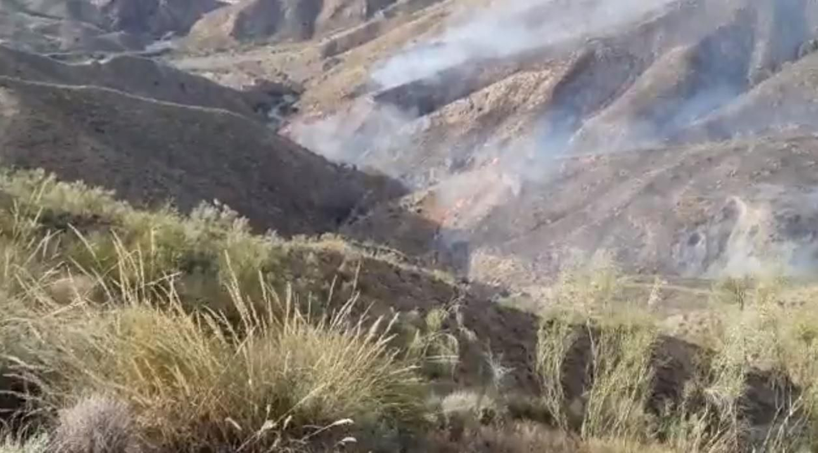Imágenes del incendio de Cantoria tomadas el viernes.