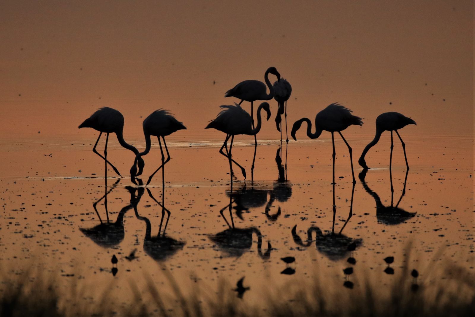 Exposición de Carlos Romero