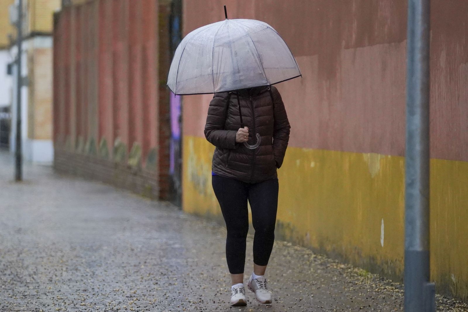 La intensa lluvia del miércoles 4 de Febrero, todas las fotos