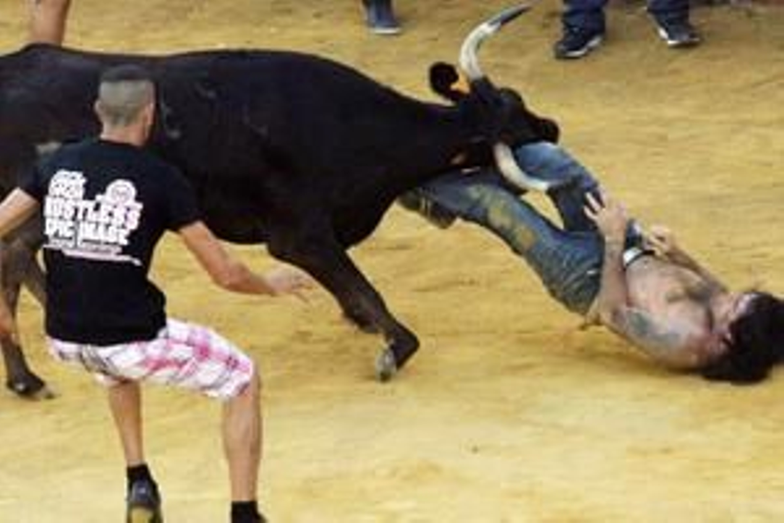 Con la suelta del llamado Toro del Aguardiente se pone el broche de oro a la feria de la localidad. No hubo que lamentar graves incidentes./Fotos:Paco Guerrero

Foto: Paco Guerrero