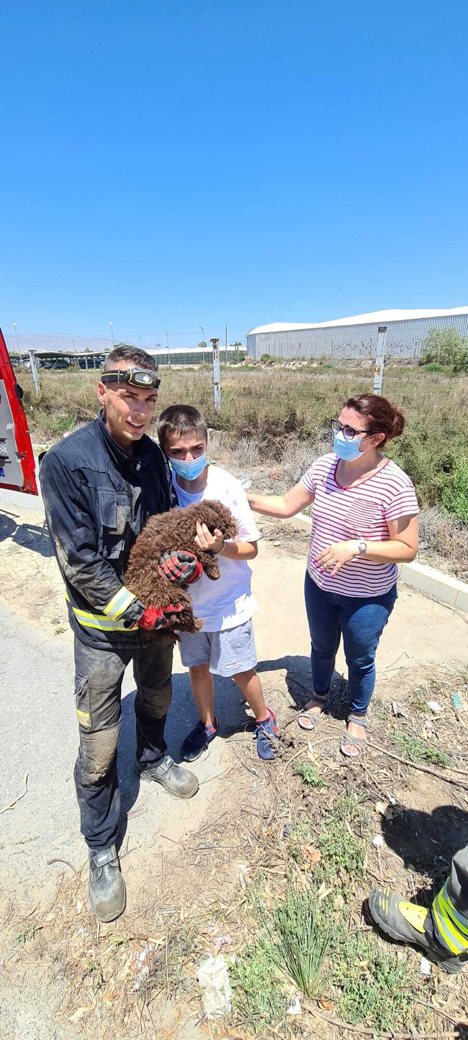 Los Bomberos rescatan a un cachorro de perro de agua del interior de un imbornal en La Cañada