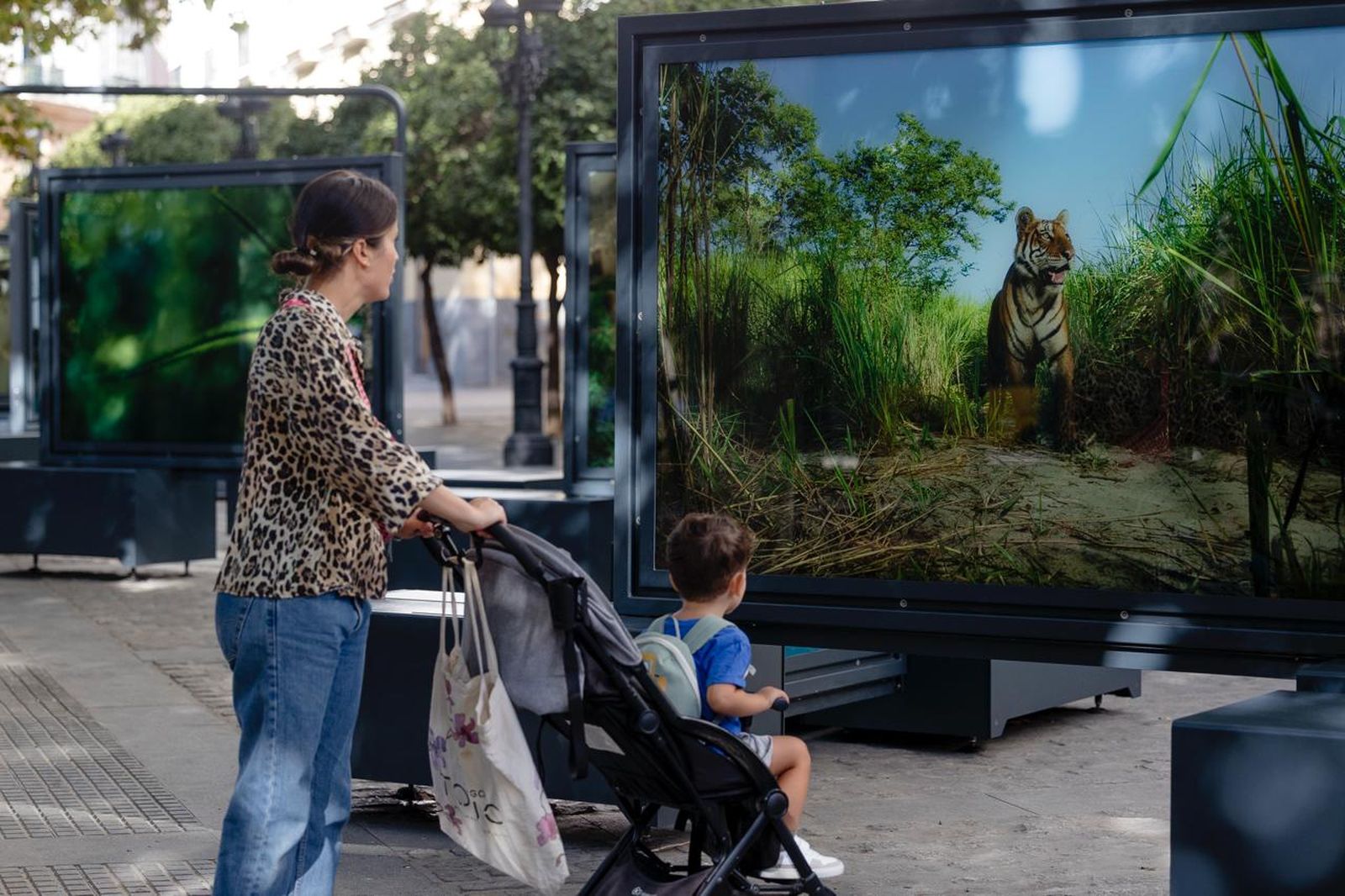 Imágenes de la exposición de National Geographic en Cádiz