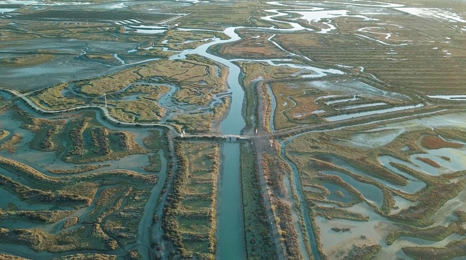Imagen de esteros de San Fernando.