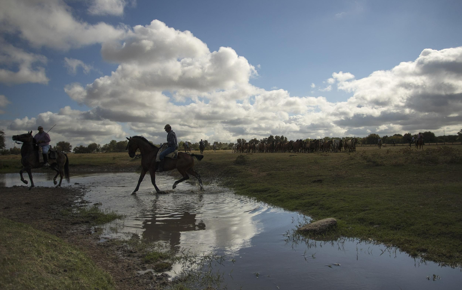La Saca de las Yeguas, en imágenes