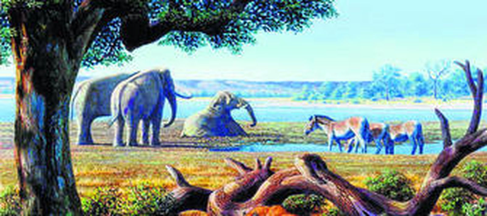 1. Reproducción del ecosistema de Orce. 2. Cráneo encontrado por Luis Gibert que es aceptado por la comunidad científica como el fósil de homínido más antiguo de Europa. 3. Un arqueólogo en la última campaña de Venta Micena 4. El desaparecido Luis Gibert.