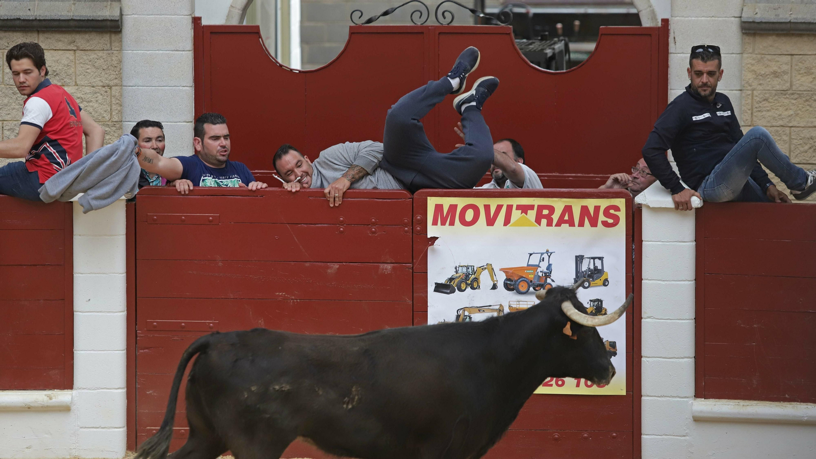 Imágenes del Toro Embolao de Los Barrios