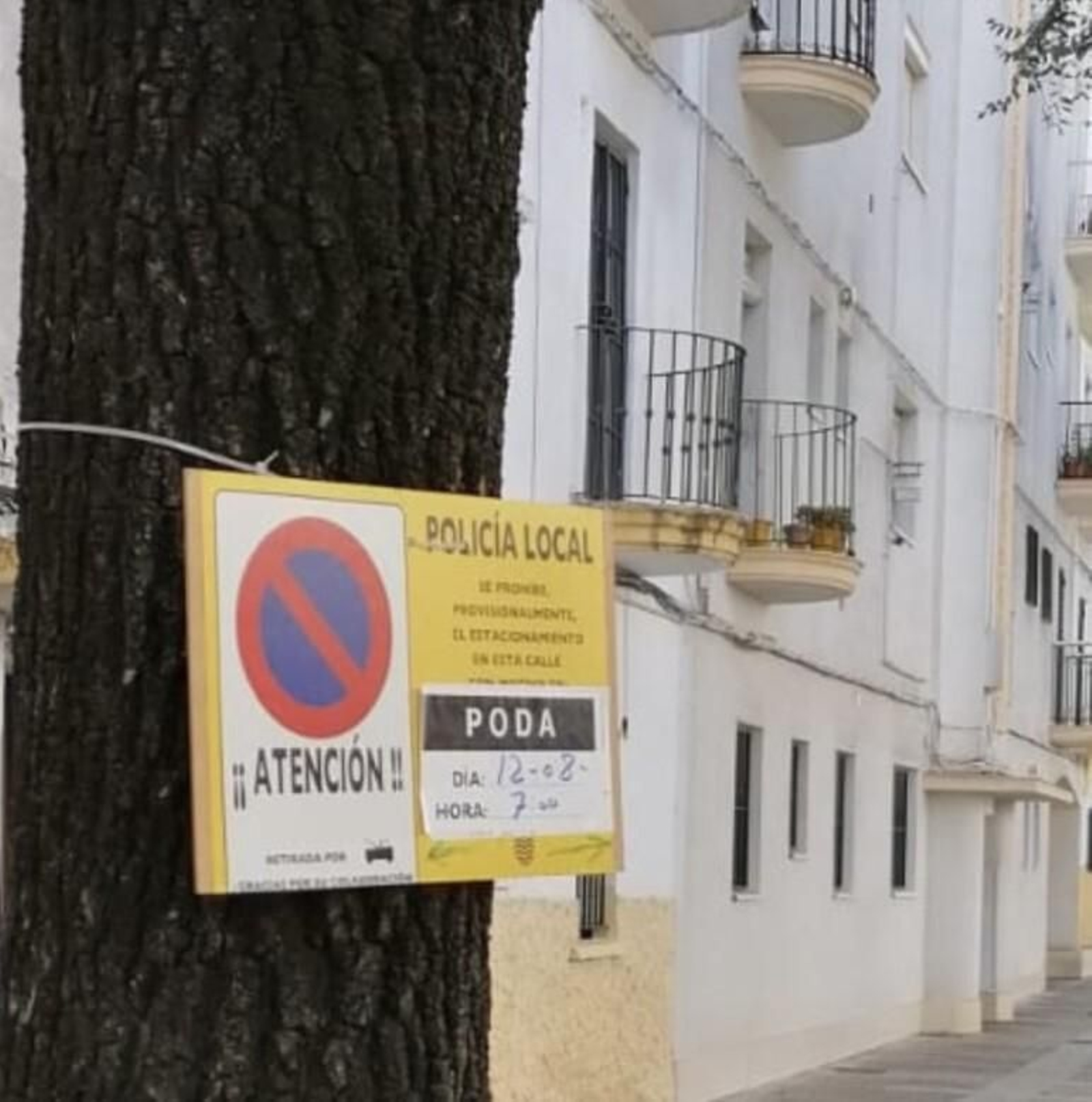 Imagen de archivo de un anuncio de poda en La Plata.