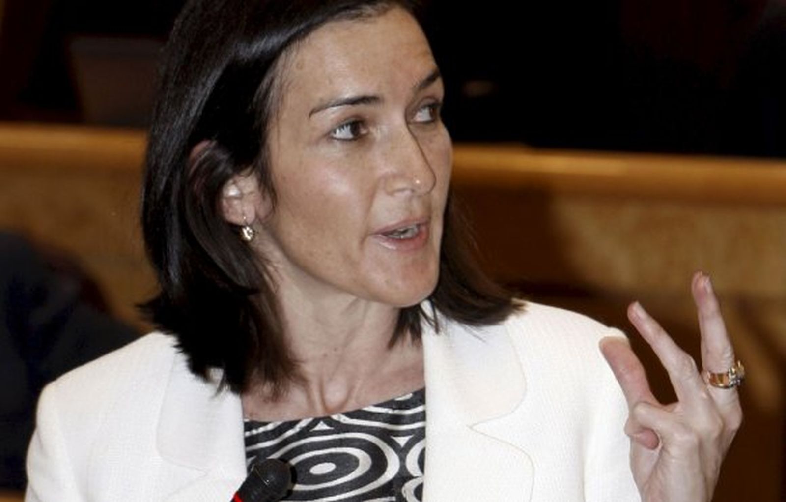 González-Sinde apela al diálogo para crear un modelo de uso y consumo de internet