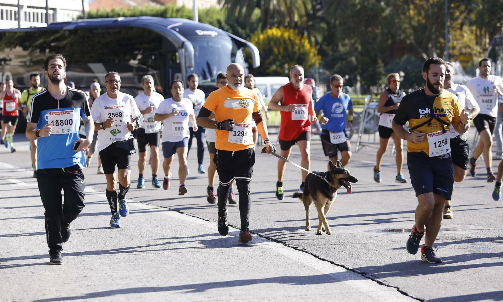 La Carrera Urbana Ciudad de Málaga