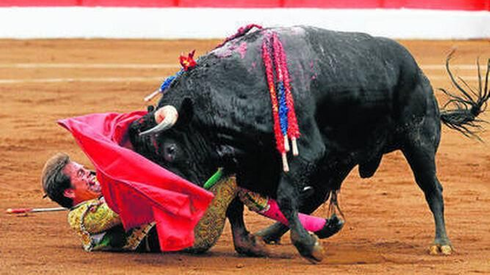 La cogida de Eduardo Dávila Miura en Santander