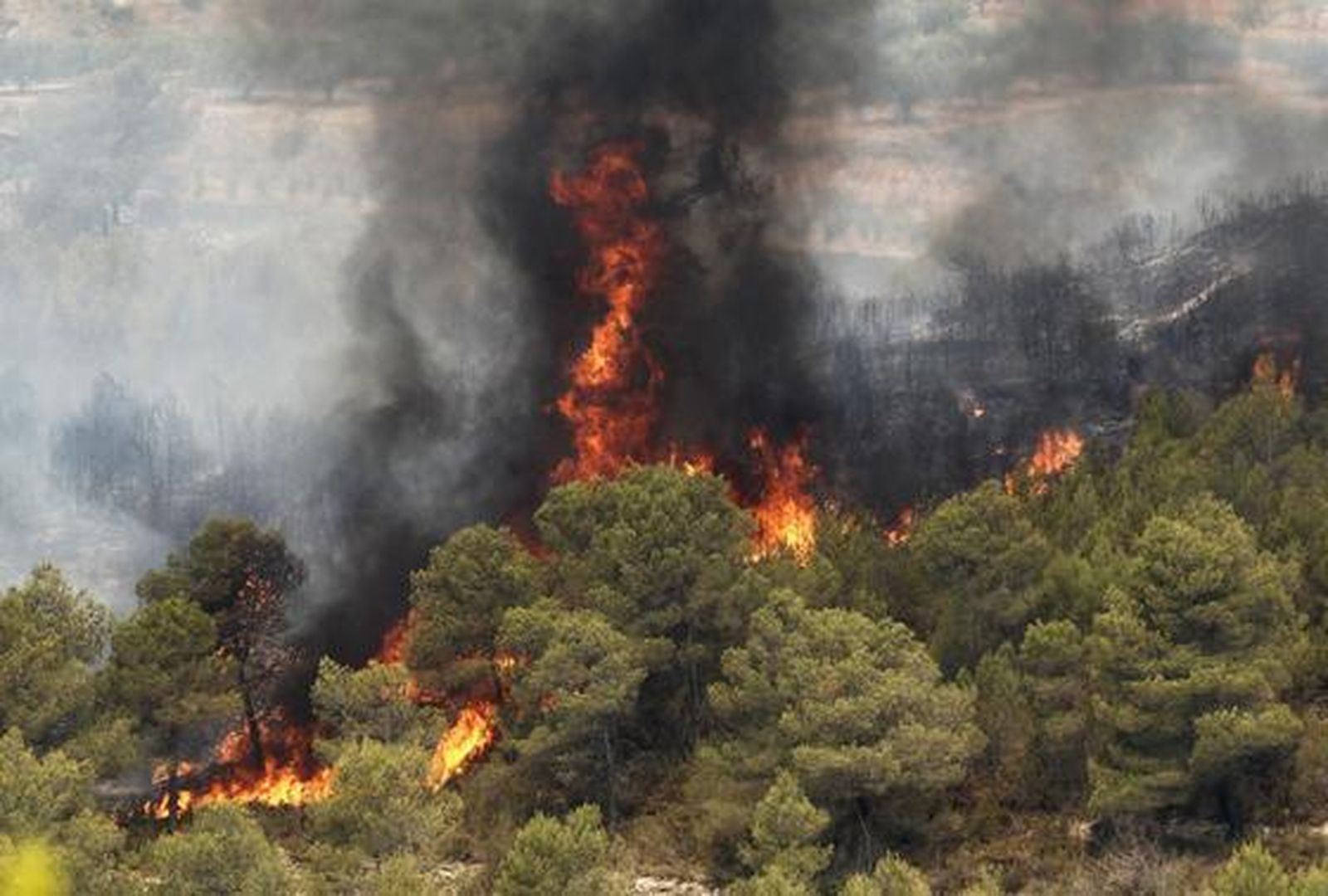 El fuego arrasa miles de hectáreas en comarcas del interior de la provincia de Valencia.  Foto: Reuters