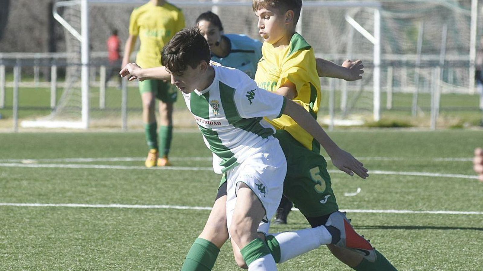 Presión de un vinícola a un blanquiverde.