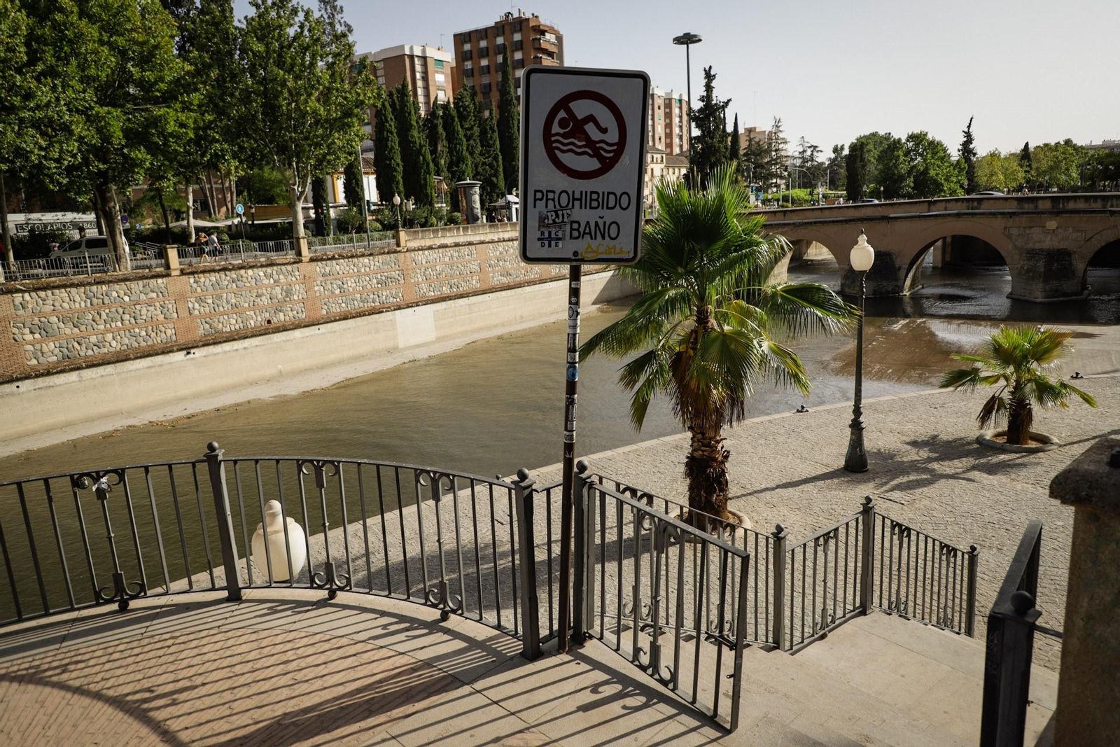 Las mejores imágenes del baño prohibido en Granada: el río Genil como refugio contra el calor