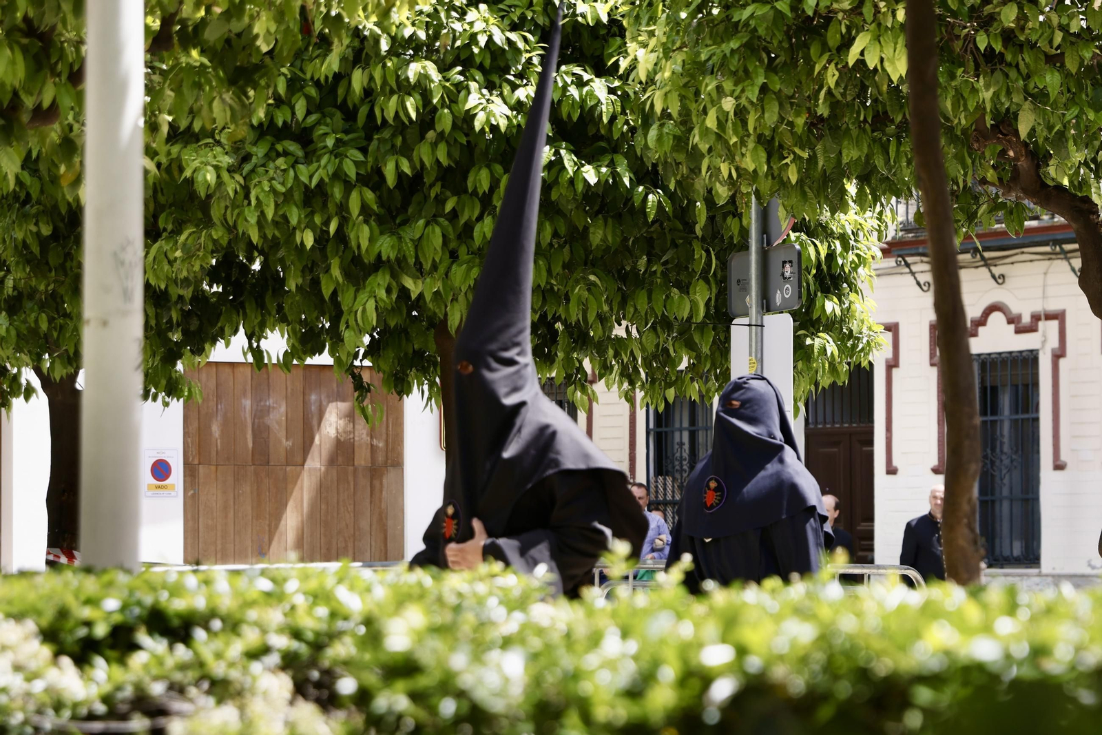 La Hermandad de los Servitas en la Semana Santa de Sevilla 2025