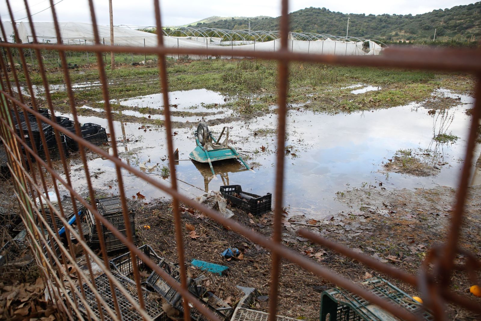 Fotos de las consecuencias de la borrasca Francis en Tesorillo y Jimena