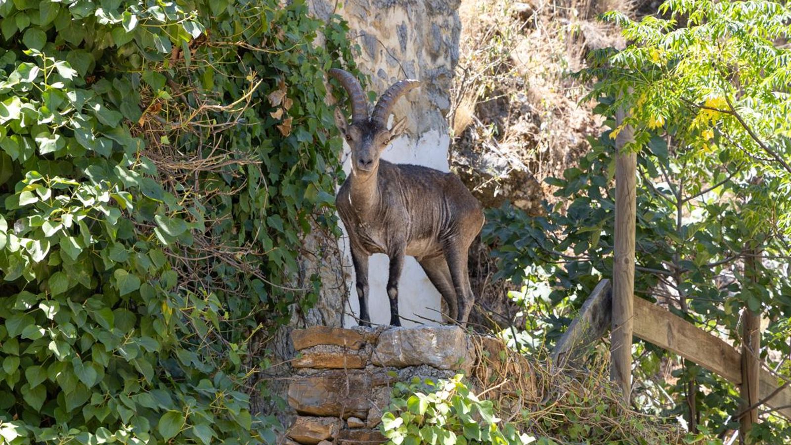 Fotos Termas Jabalcuz de Jaén