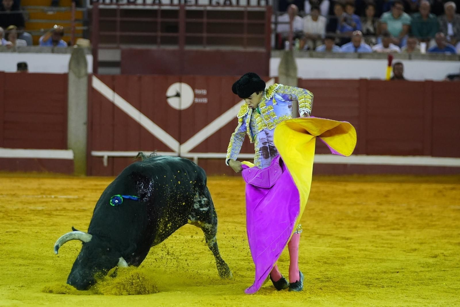 Las mejores imágenes de las corridas de toros de la Feria de Pozoblanco