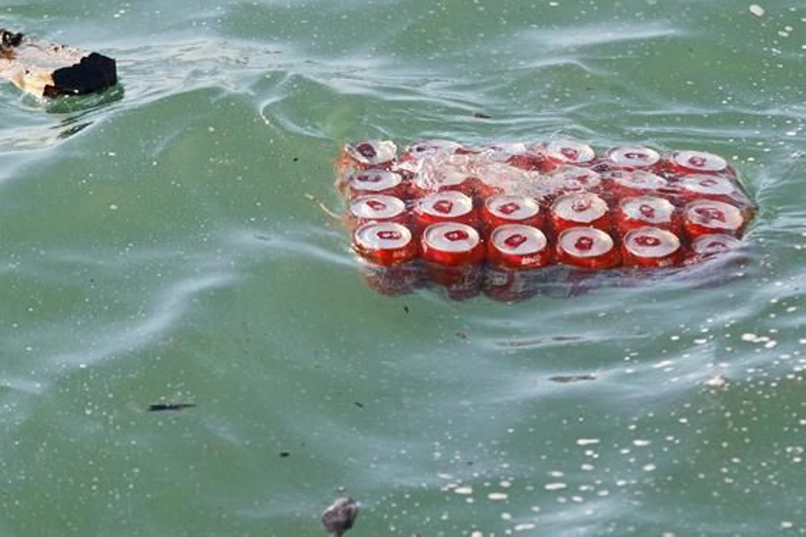 Foto: Julio Gonzalez-Joaquin Pino