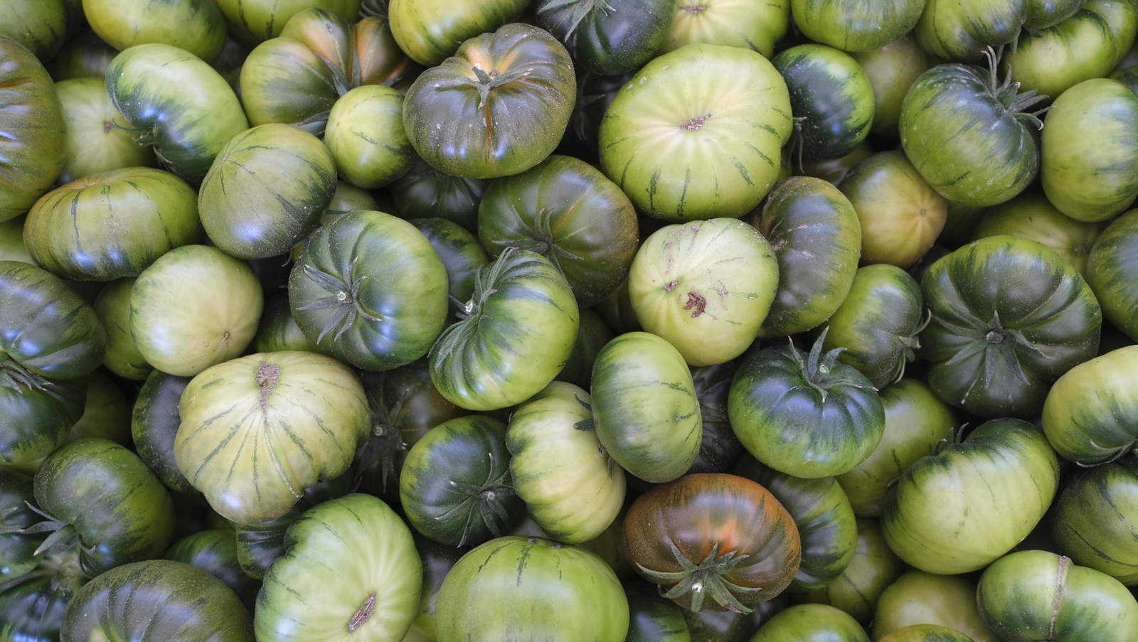 El auténtico Raf LoVargas