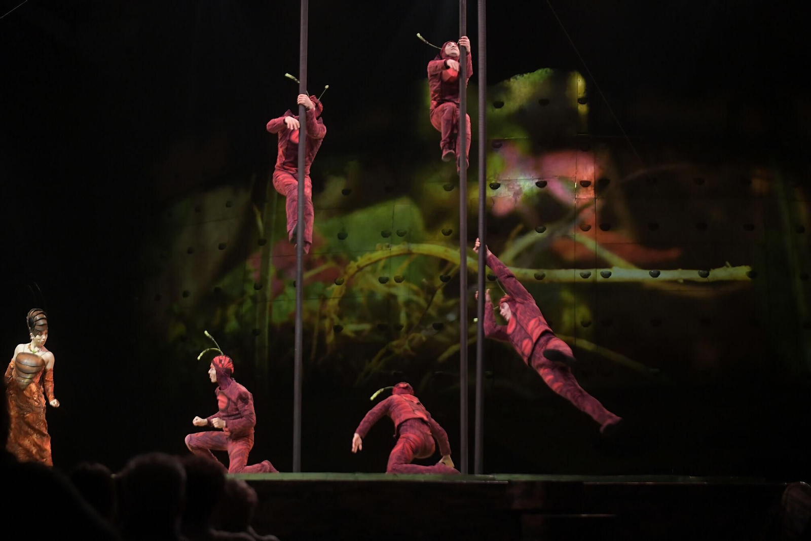 El Circo del Sol brilla en el Palacio de Deportes de Granada