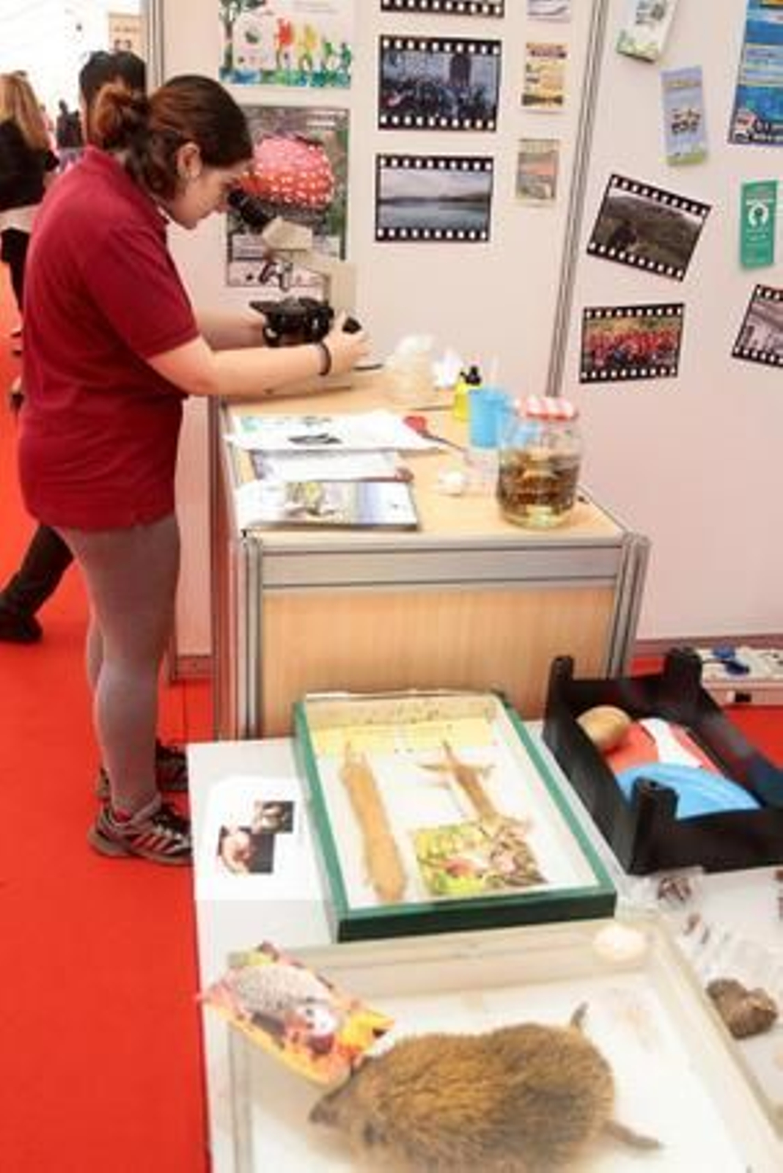 Foto: María de la Cruz