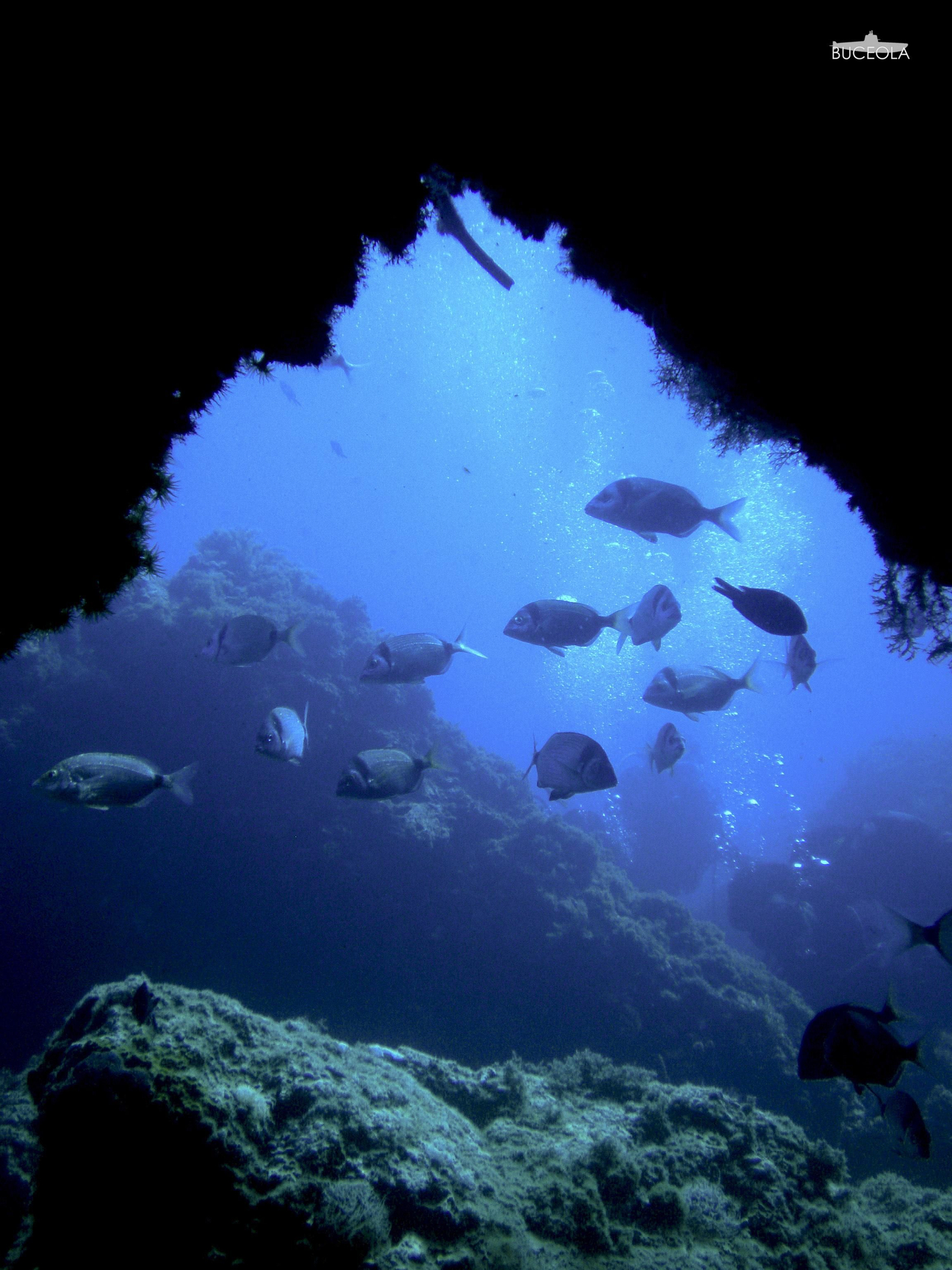 Salida de la cueva del Abrevadero, en la Punta de la Mona.