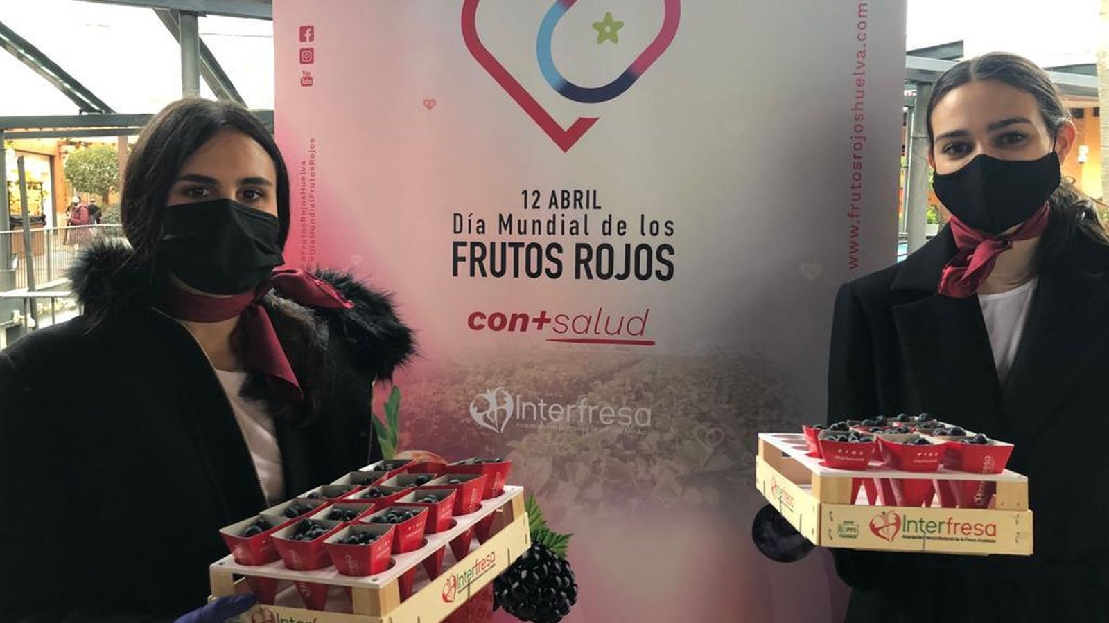 Fresas y arándanos de Huelva en Málaga