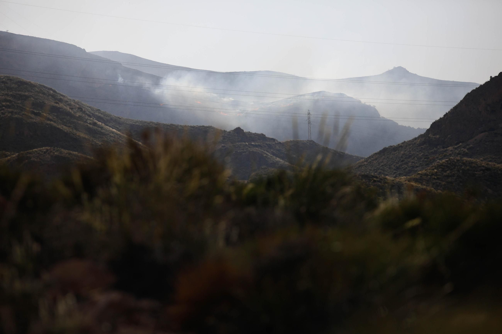 Las imágenes del incendio forestal que avanza en la sierra de Huércal
