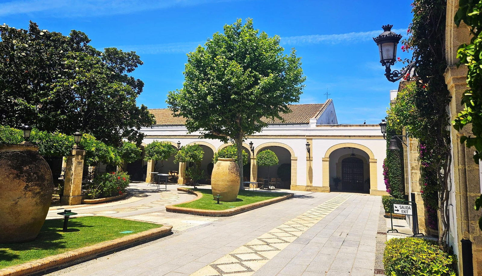 Patio del Magnolio de la Bodega de Mora, en El Puerto