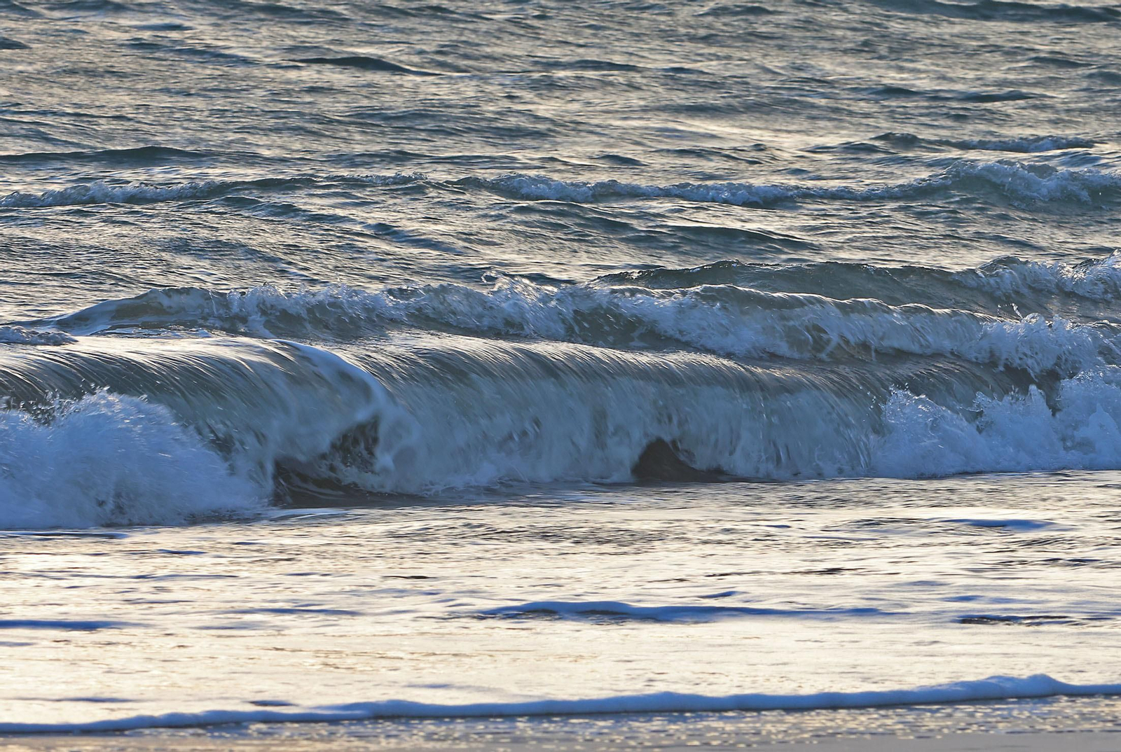 Las imágenes más destacadas del domingo 25 de febrero en Huelva