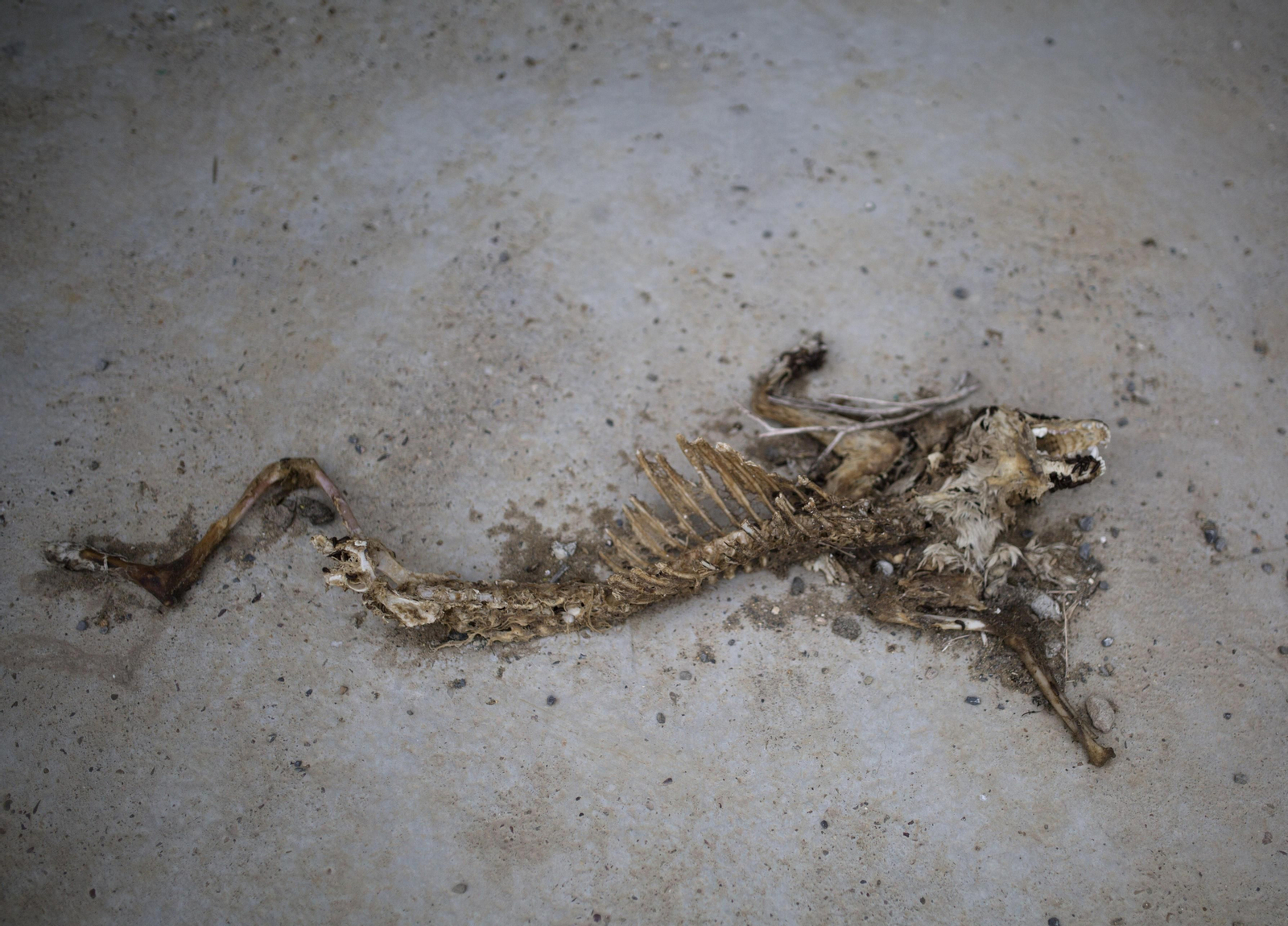 Marismas del Guadalquivir, un paisaje de cine