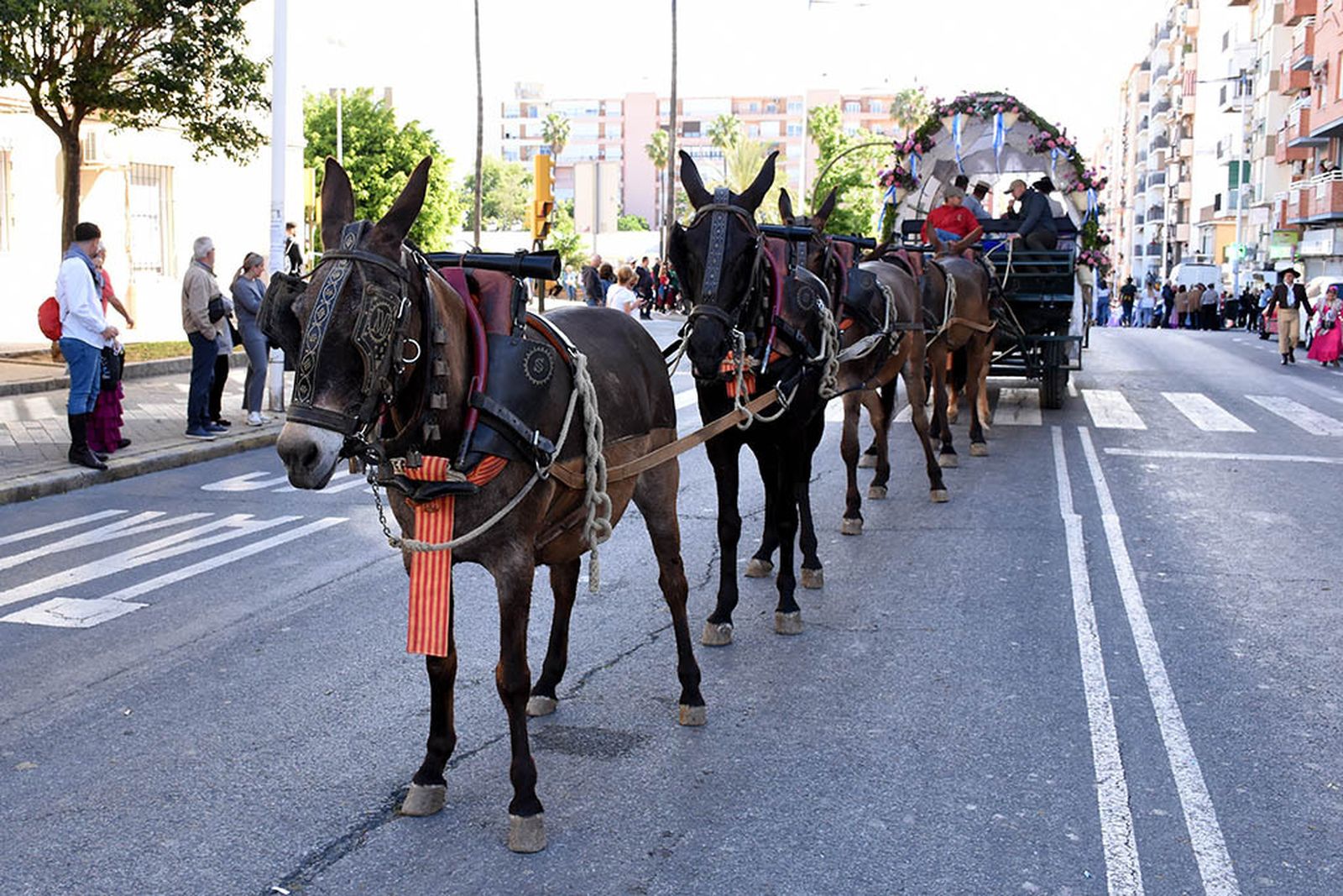 Imágenes de los carros de la Hermandad del Rocío de Huelva