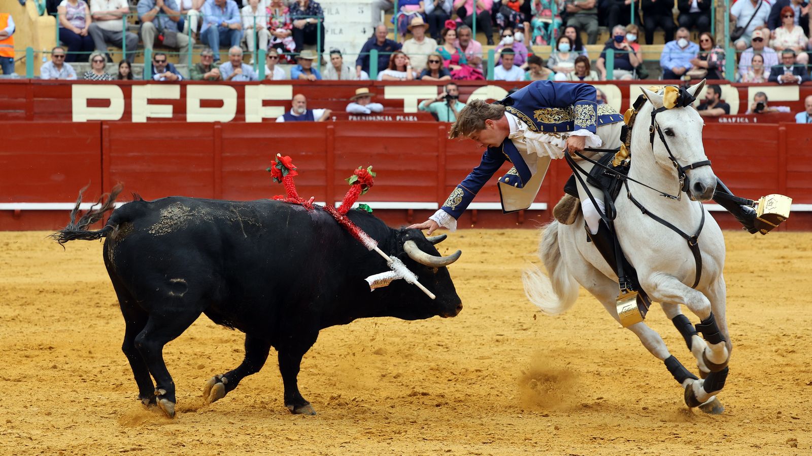 Toros en Jerez: El arte ecuestre
