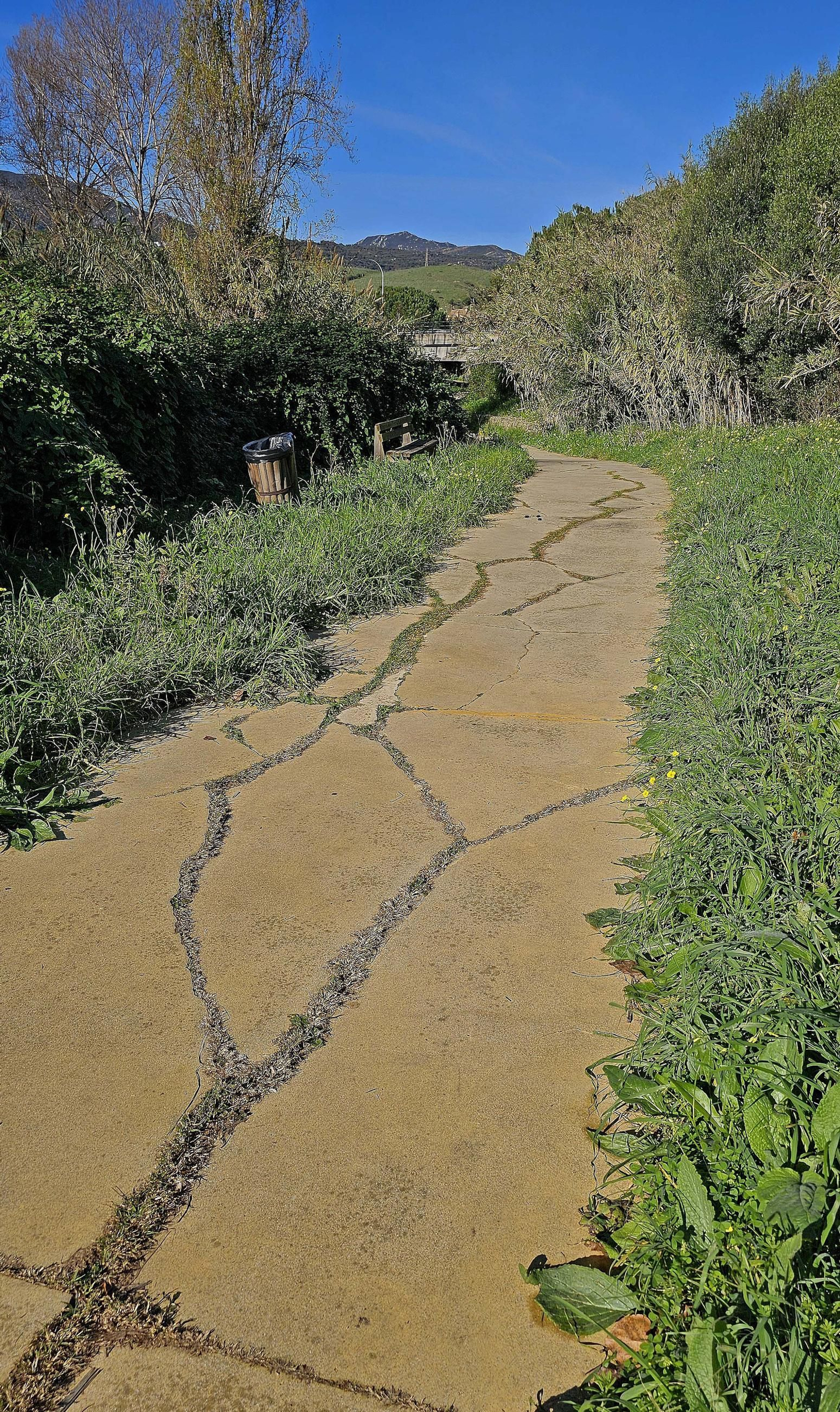Fotos de los desperfectos en el sendero del parque fluvial del río Pícaro en Algeciras