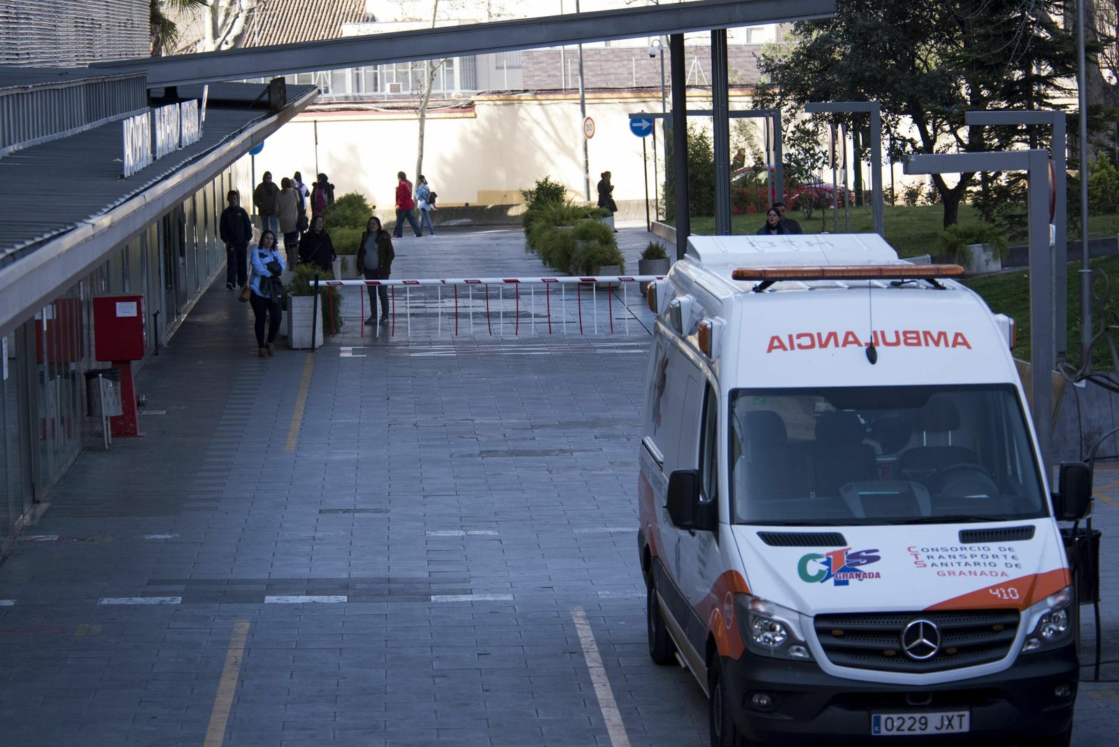 El Virgen de las Nieves atiende 115 niños en casa en un año