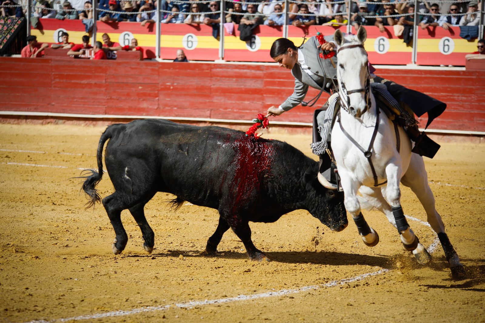 Imágenes del festival mixto lucha contra el cáncer