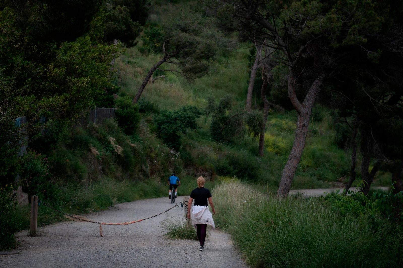 Personas paseando en un parque natural.